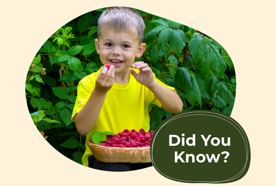 Child with fruit